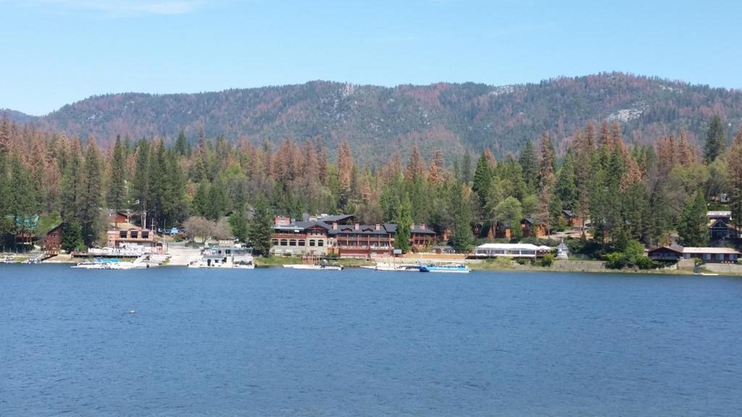 The Pines Resort & Conference Center Bass Lake Eksteriør billede